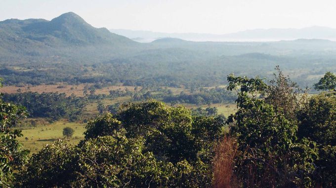 The vast Cerrado savanna is a haven for wildlife