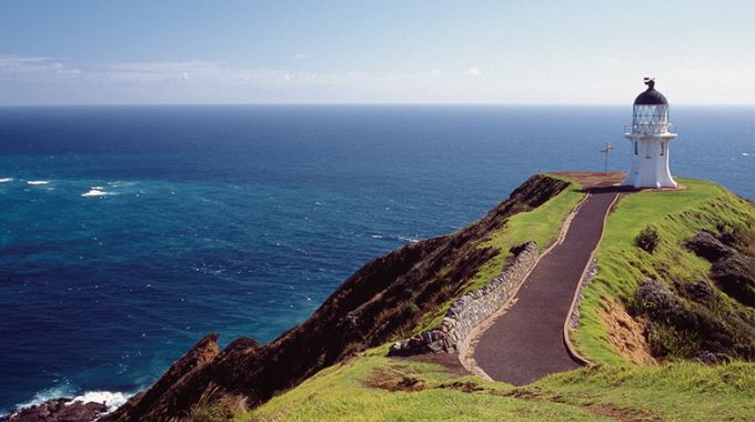 New Zealand’s Northland region is a hidden gem for wildlife enthusiasts.