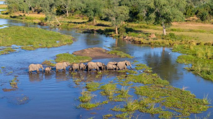 The Zambezi River is a great for wildlife enthusiasts