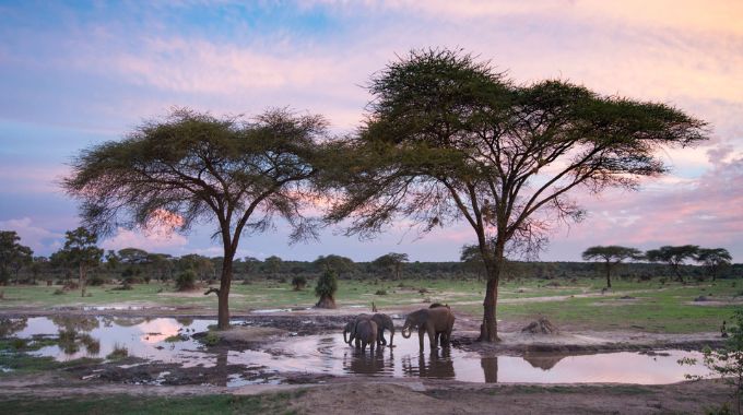 Hwange National Park