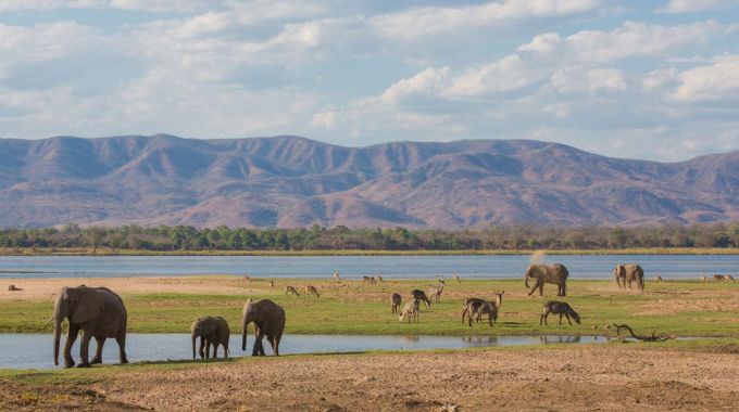 Mana Pools National Park