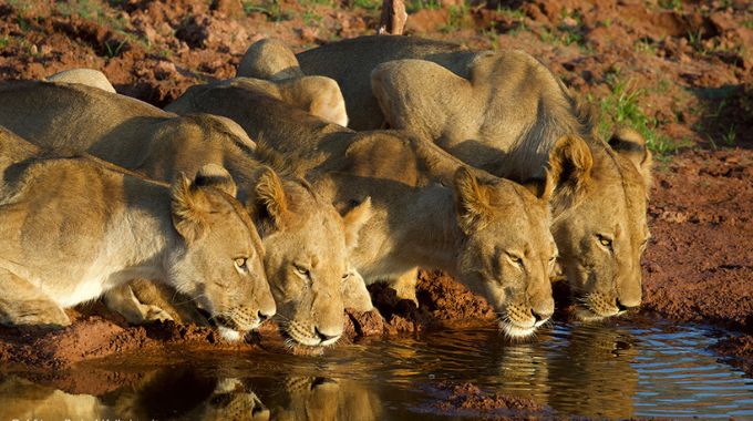 Matusadona National Park