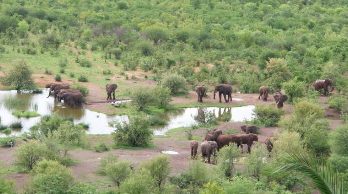 Zambezi National Park