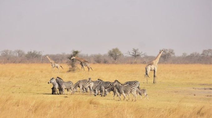 Kazuma Pan National Park