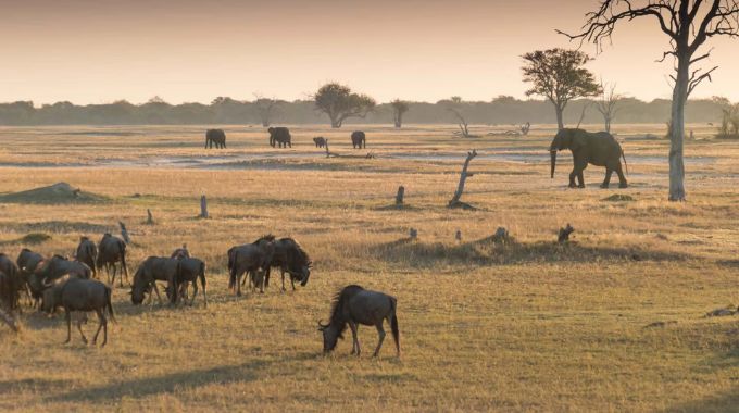 Hwange National Park