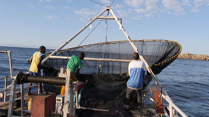 Kariba is a hub for commercial fishing