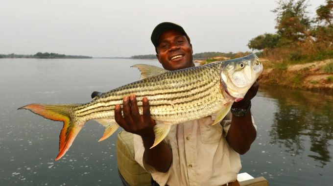Kariba is a premier destination for sport fishing