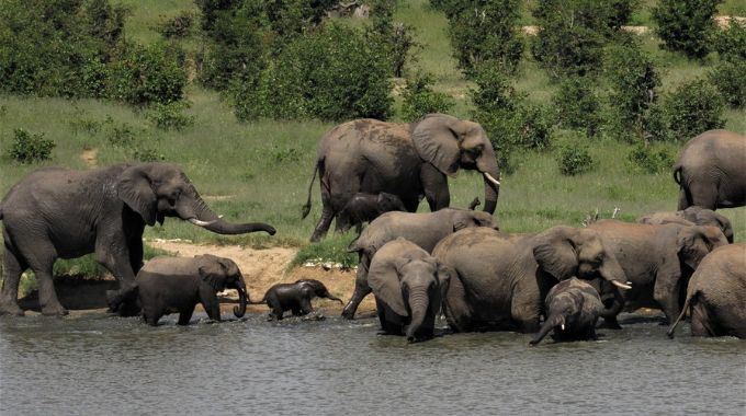 Hwange National Park