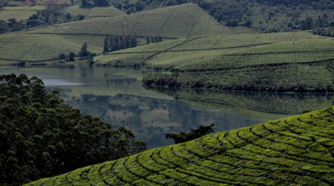 The Eastern Highlands