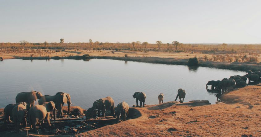 Zimbabwe’s peak travel season runs from July to October