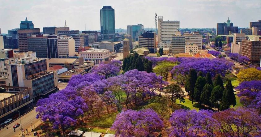 Most visitors who give Harare a proper chance come away wanting to return.