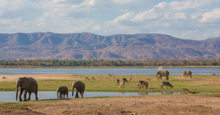 Mana Pools National Park: Africa’s Wildest Safari Experience