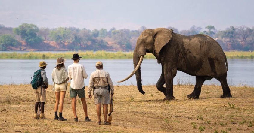 Mana Pools National Park has been a walking concession since the park's earliest days