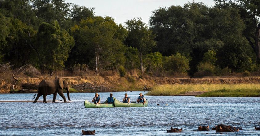 Canoe safaris at Mana Pools National Park are very popular
