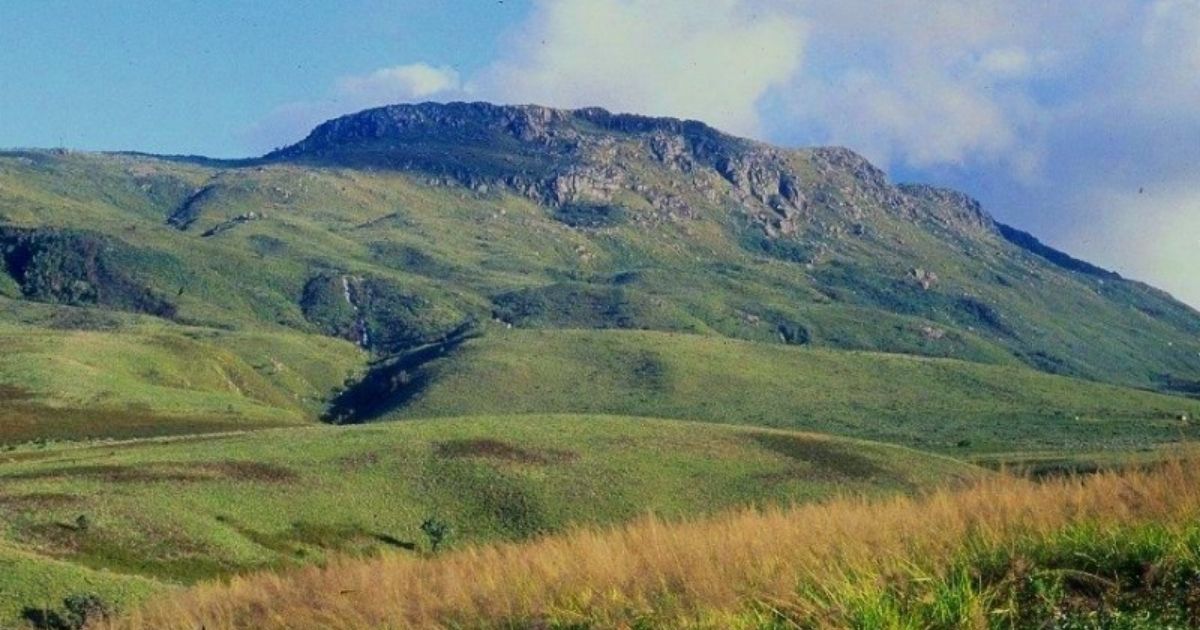 Eastern Highlands Zimbabwe: The Complete Travel Guide 2026 4 At 2,592 metres above sea level, Mount Nyangani is Zimbabwe's highest point.