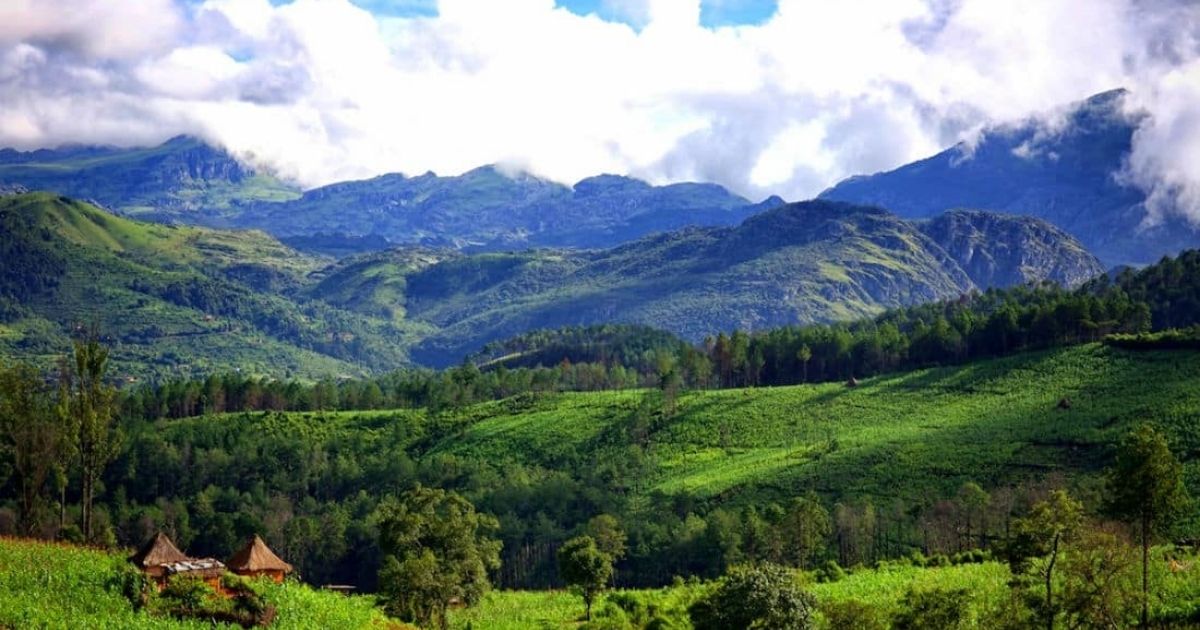 Eastern Highlands Zimbabwe: The Complete Travel Guide 2026 6 The Bvumba Mountains, which rise to Castle Beacon at 1,911 metres about 25 kilometres southeast of Mutare, sit directly in the path of moisture-laden air moving inland from the Indian Ocean.