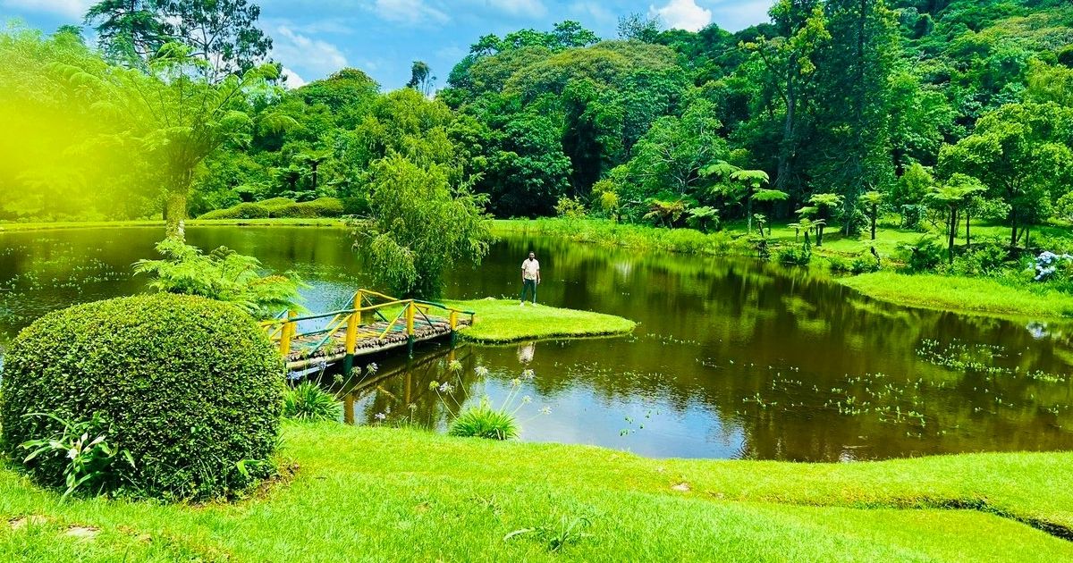 Eastern Highlands Zimbabwe: The Complete Travel Guide 2026 7 The Bvumba National Botanical Gardens, known to an older generation of Zimbabweans as Manchester Gardens, were originally a private farm purchased in 1926 and gradually developed into gardens by Mr and Mrs Taylor of Mutare