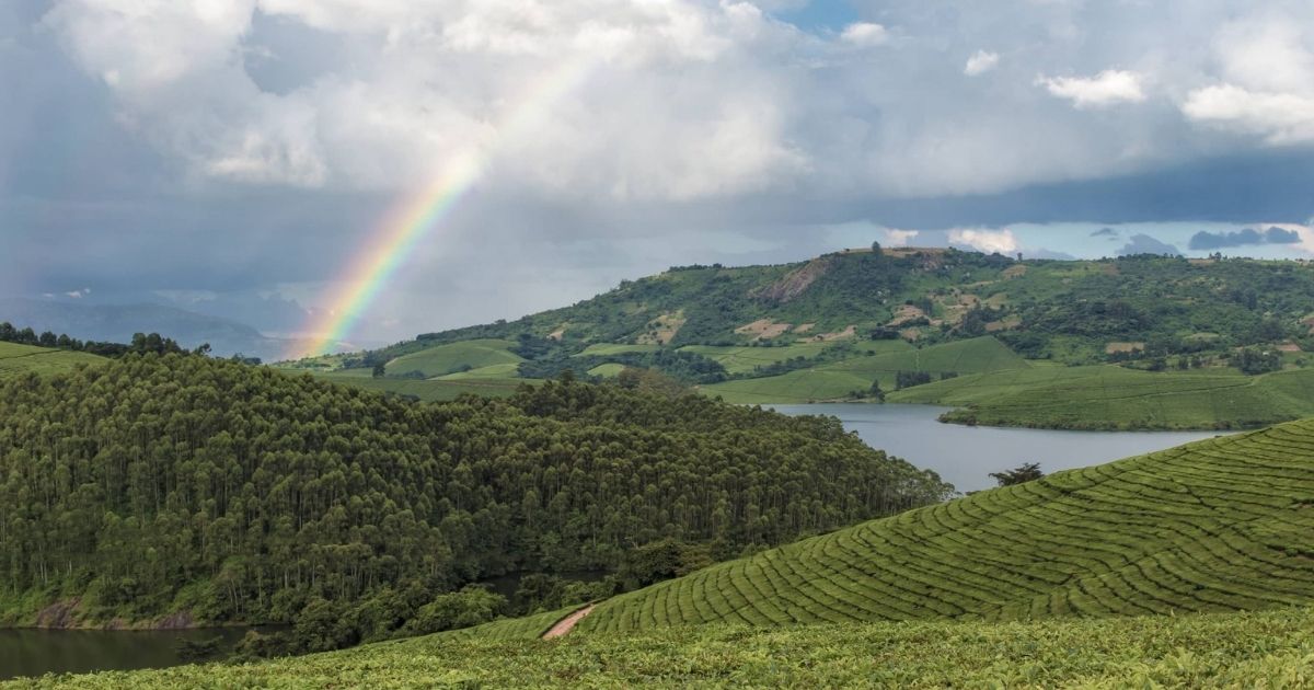Eastern Highlands Zimbabwe: The Complete Travel Guide 2026 11 The Eastern Highlands cover a distance of 300 kilometres from north to south, and driving that distance takes you through landscapes that seem to belong to entirely different countries.