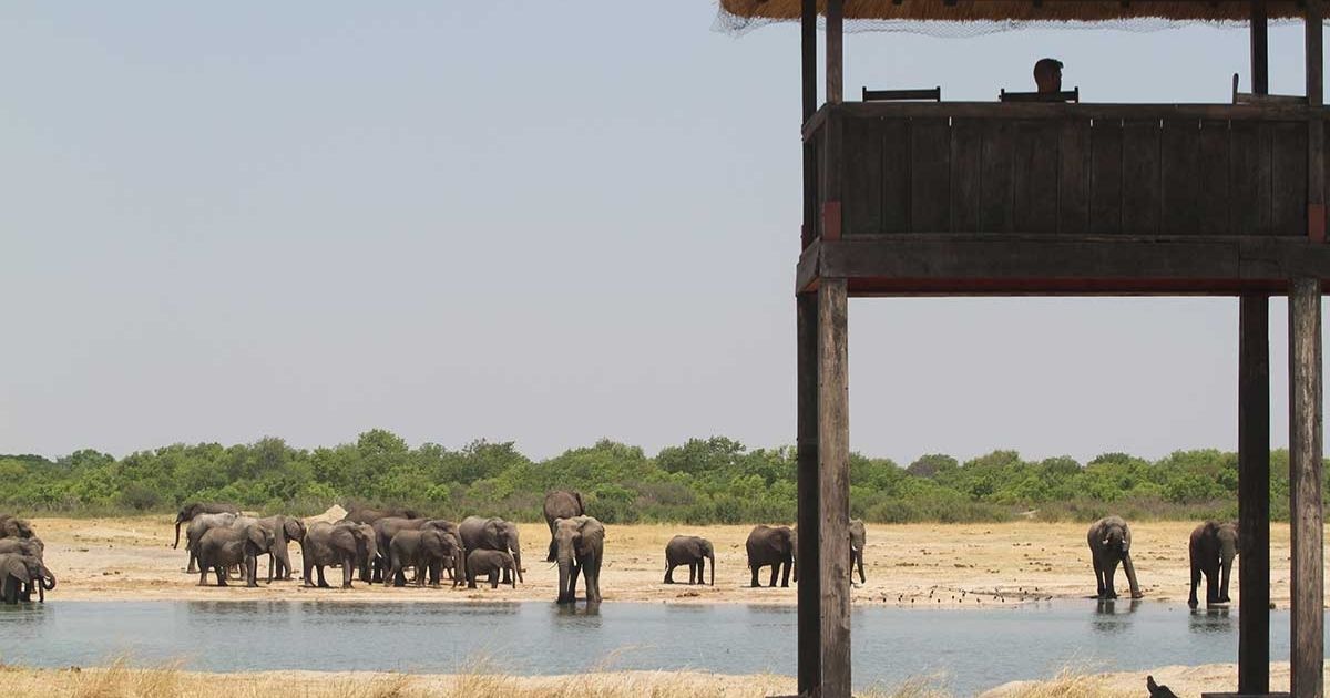 15 Most Beautiful Places in Zimbabwe 5 Hwange National Park is among the 15 most beautiful places in Zimbabwe