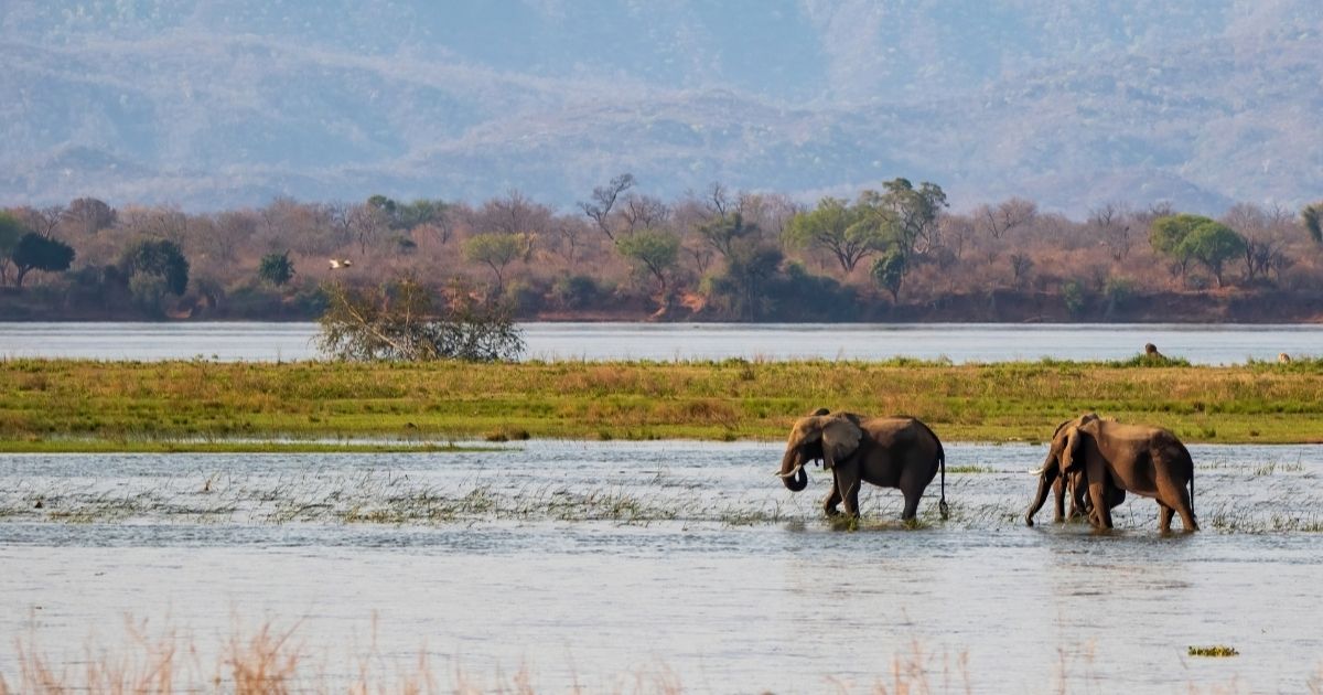 15 Most Beautiful Places in Zimbabwe 12 Mana Pools During Flood Season