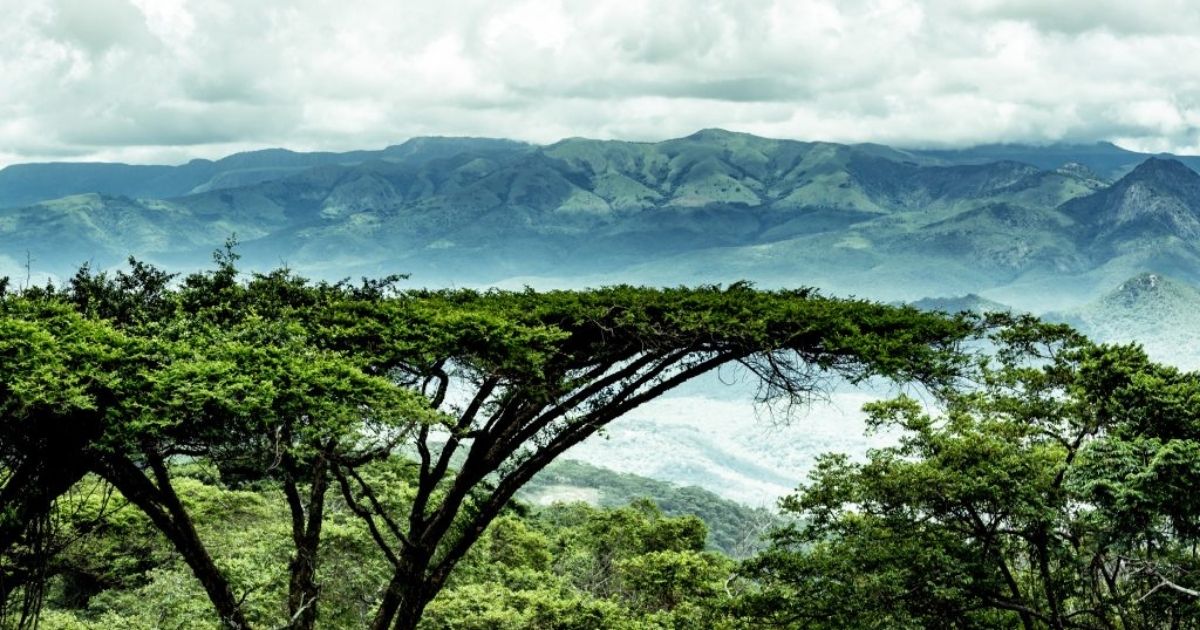 15 Most Beautiful Places in Zimbabwe 15 The Bvumba Mountains occupy the central section of the Eastern Highlands and have a character quite distinct from the peaks of Nyanga to the north or the wild terrain of Chimanimani to the south.