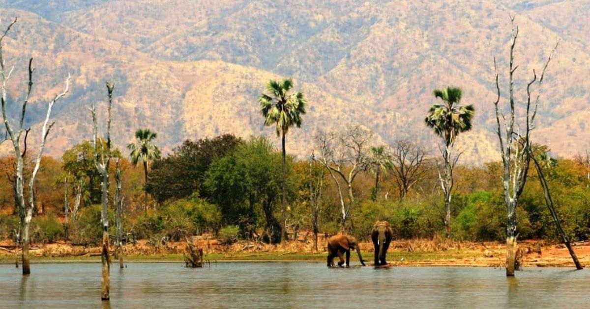 15 Most Beautiful Places in Zimbabwe 16 Matusadona sits on the southern shore of Lake Kariba