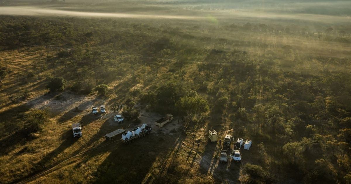 The return of rhinos is expected to enhance Matusadona's appeal as a premier wildlife tourism destination.