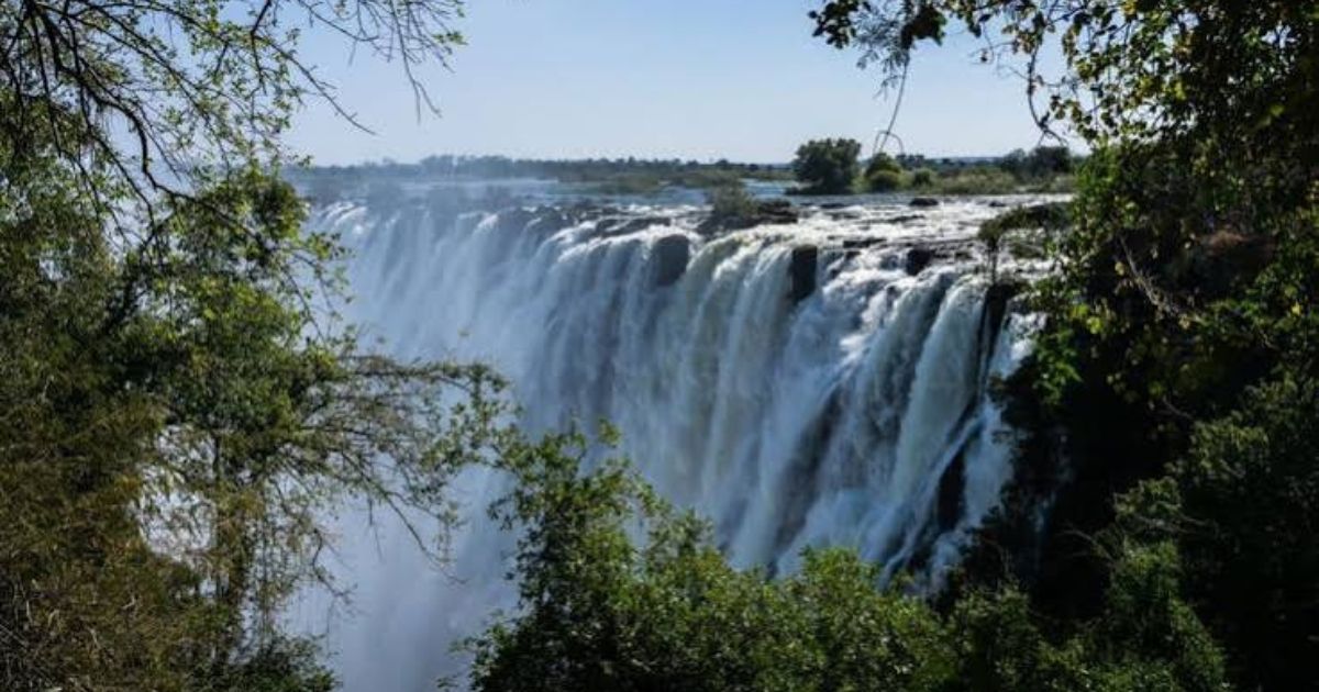 Victoria Falls Rainforest Access Restricted After Elephant Sighting 2 Victoria Falls Rainforest access restricted after wildlife officials reported an elephant moving through the site, prompting an immediate public notice.
