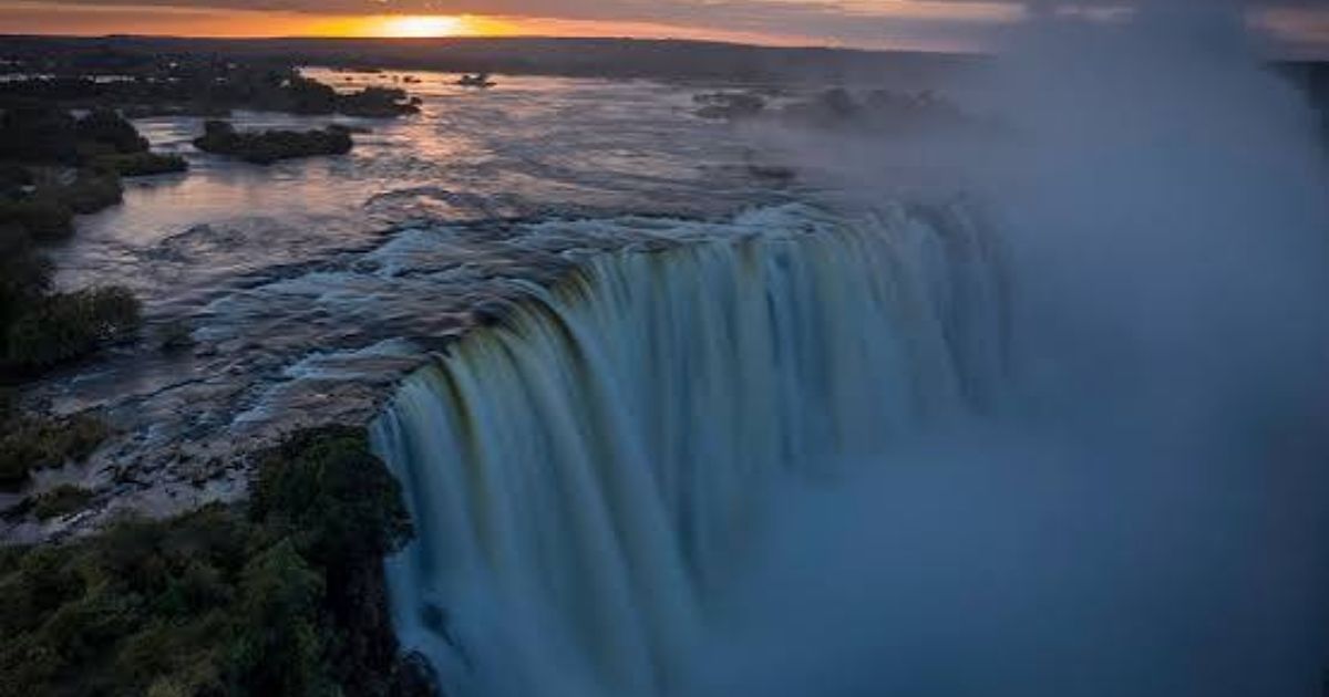 The Victoria Falls Rainforest has reopened to the public after a brief closure prompted by elephants entering the site, the Zimbabwe Parks and Wildlife Management Authority has confirmed.