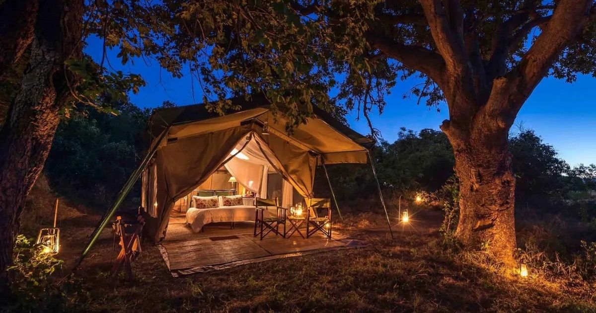 Glamping in Zimbabwe: The Best Luxury Camping Escapes in the Wild 7 A Zimbabwean Glamping Stay is always unique