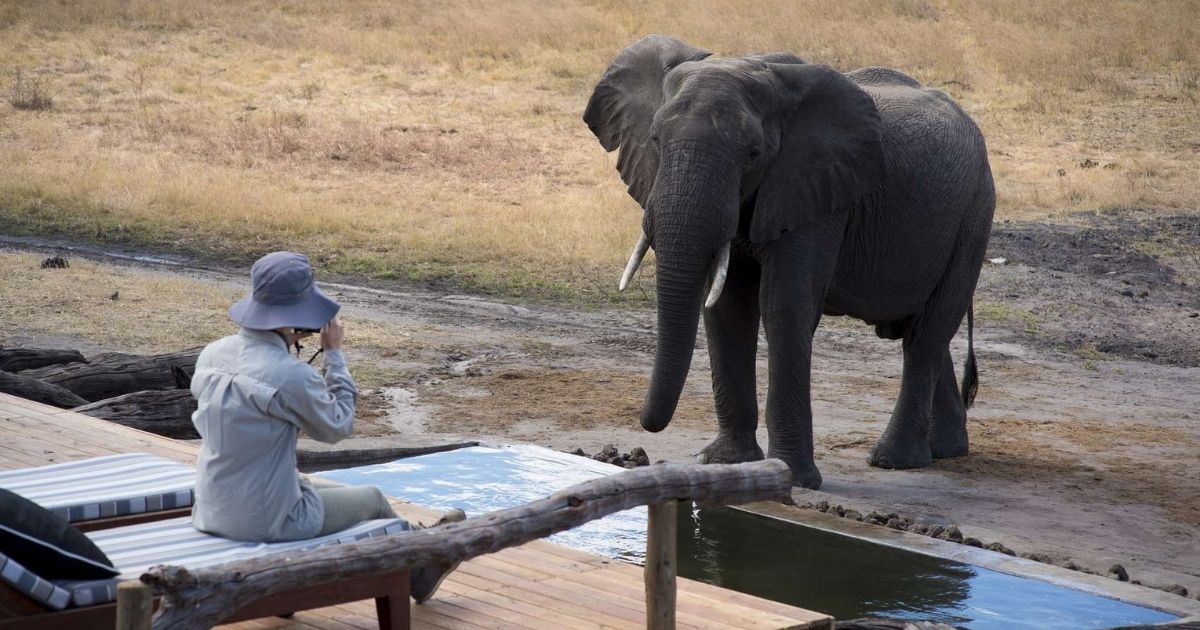 Is Zimbabwe Safe for Tourists? A Complete Travel Safety Guide 8 Solo traveler in Zimbabwe