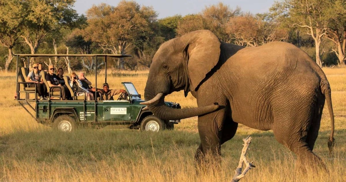 Is Zimbabwe Safe for Tourists? A Complete Travel Safety Guide 9 Tourists in Zimbabwe