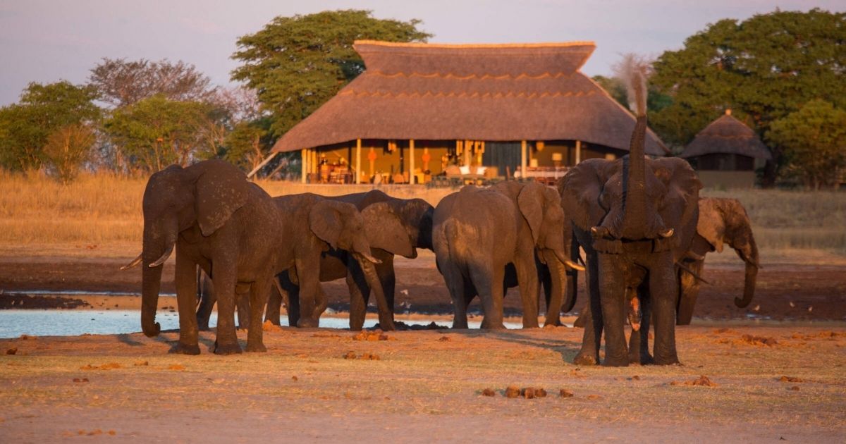 How Much Does a Zimbabwe Safari Cost in 2026?