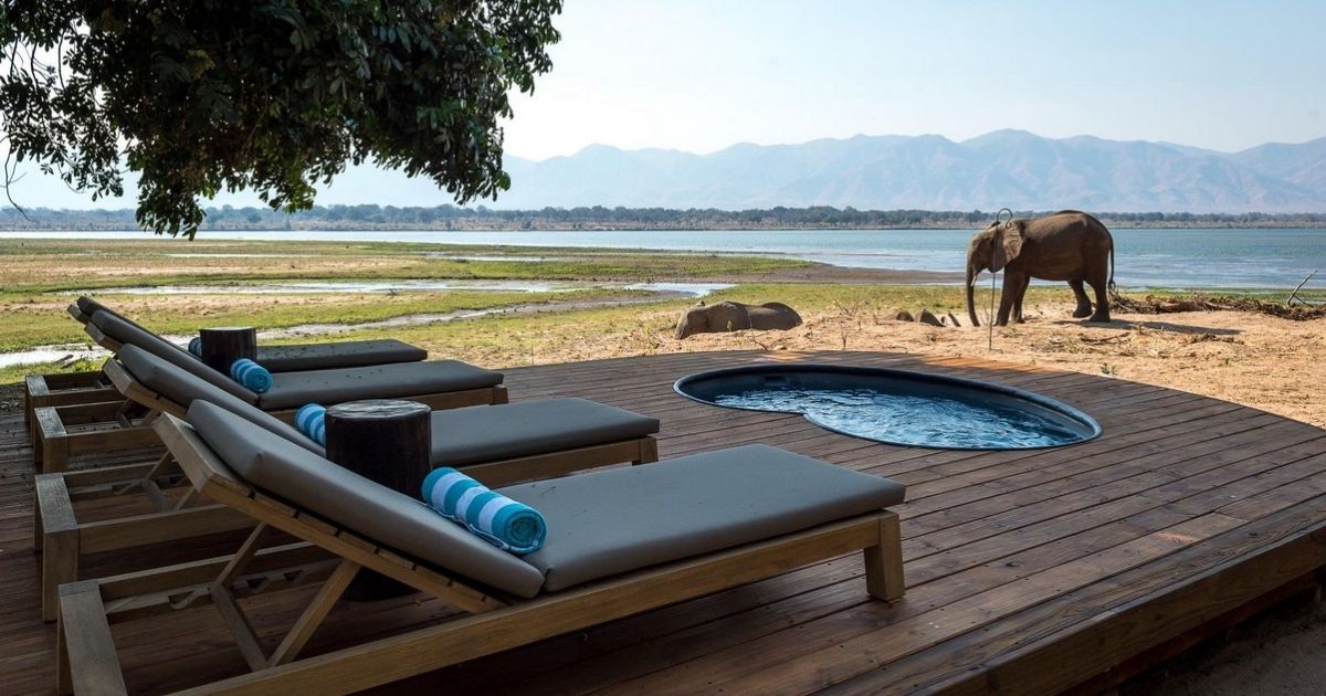 The Ultimate Zimbabwe First-Timer's Travel Guide: Everything You Need to Know 6 Elephants passing through a safari lodge at Mana Pools National Park